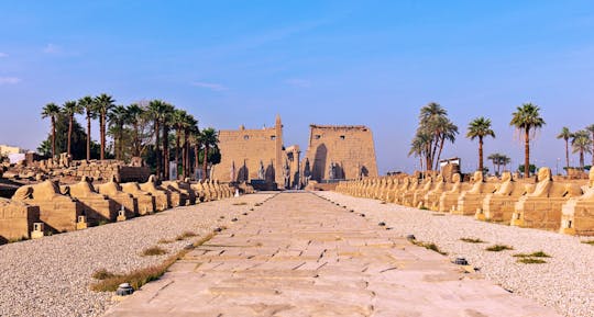 Ontdek de Karnak-tempel, de Sphinx steeg en de Luxor-tempel