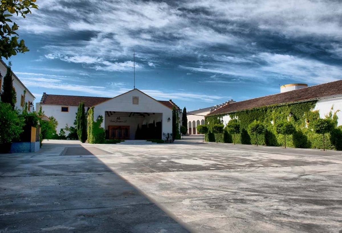 Guided tour and wine tasting at Pérez Barquero winery