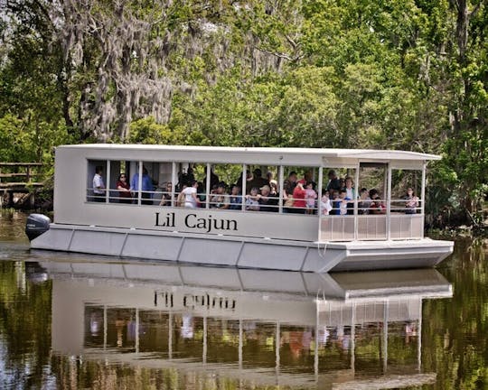 Passeio de barco guiado pelo pântano e bayou