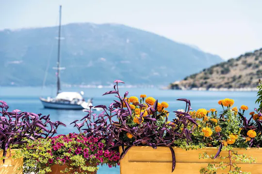 Een avond in Argostoli met wijnproeverij