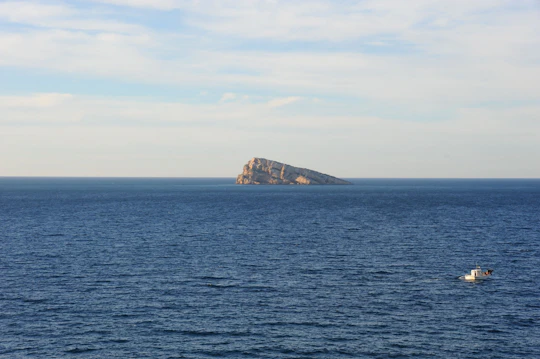 Benidorm Island boat trip ticket