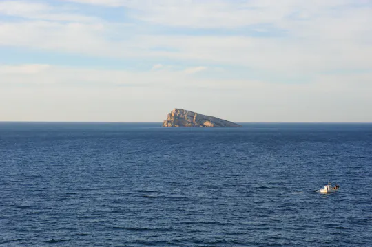 Benidorm Island boat trip ticket