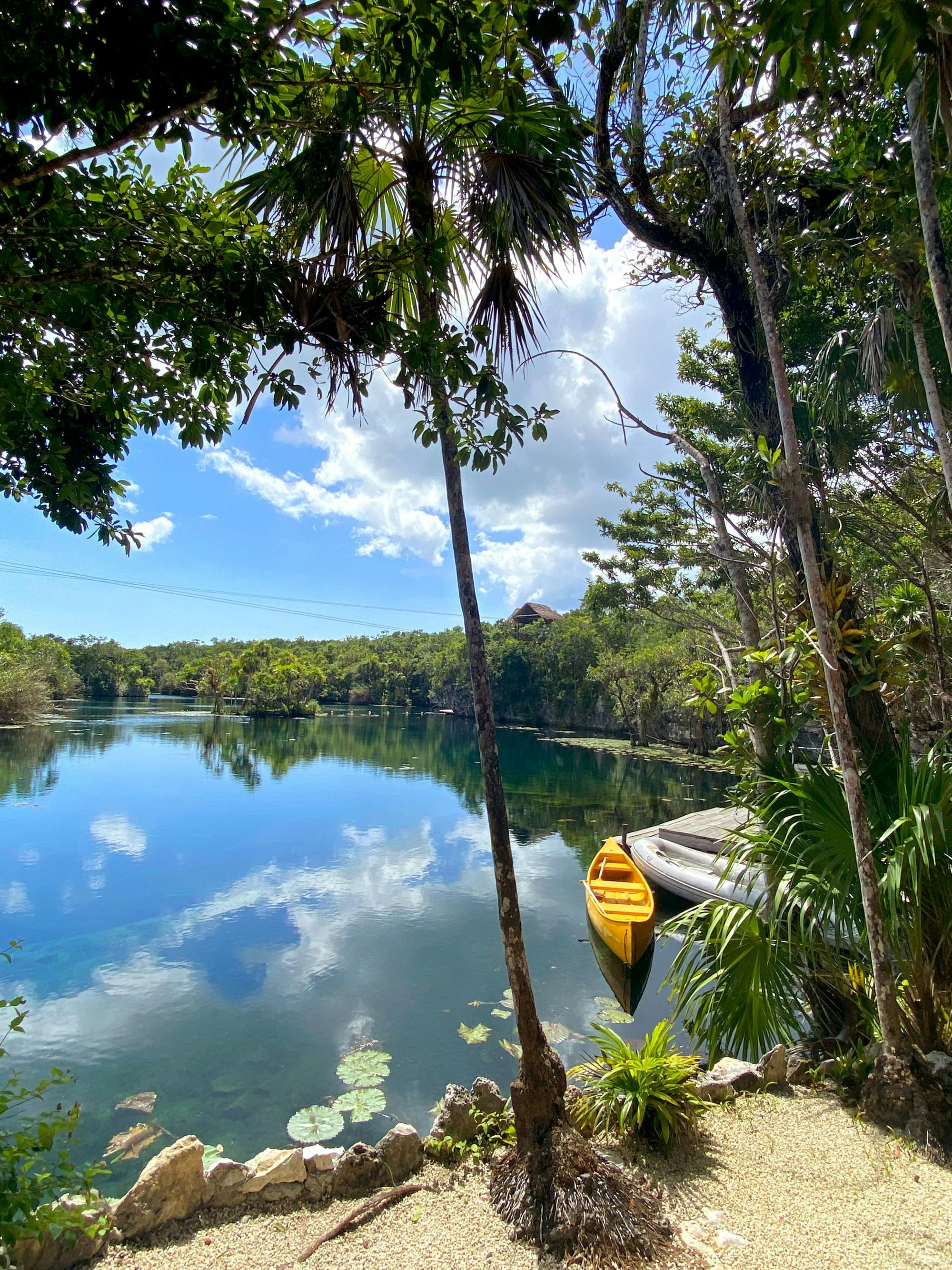 Nat Geo Day Tour: Exploring the Mysteries of the Cenotes - A Journey into Mayan Culture