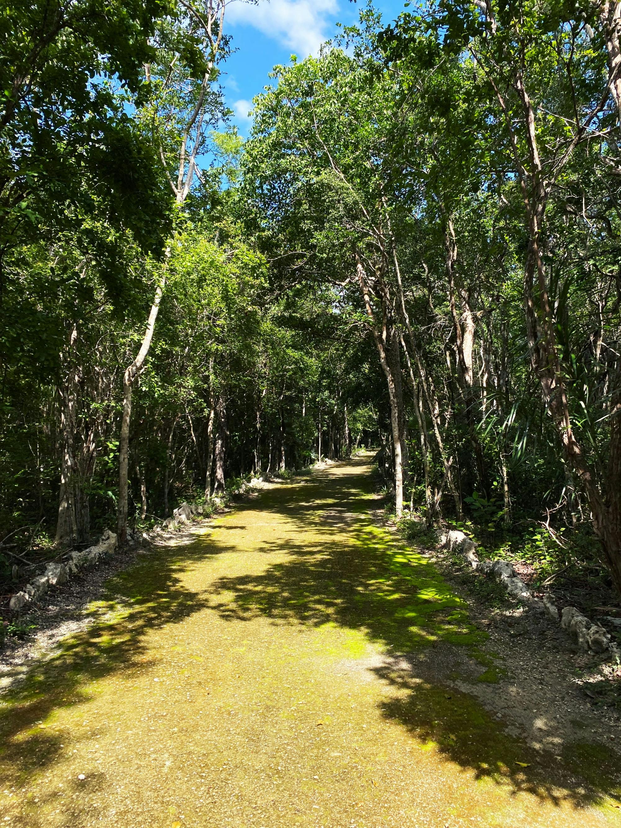 Nat Geo Day Tour: Exploring the Mysteries of the Cenotes - A Journey into Mayan Culture