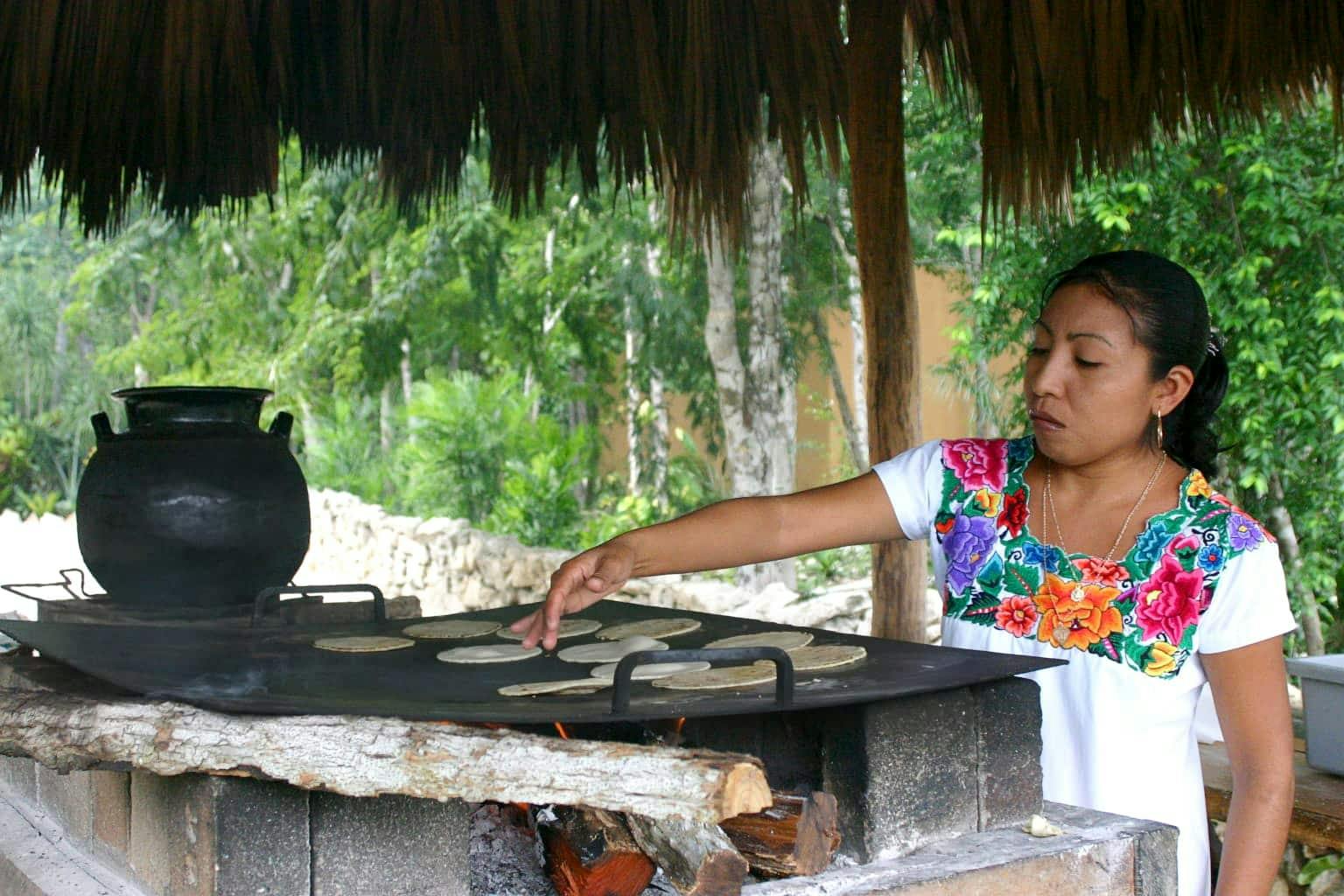 Nat Geo Day Tour: Exploring the Mysteries of the Cenotes - A Journey into Mayan Culture