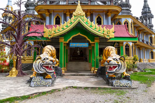 Jungle tour with Tiger Temple from Ko Lanta