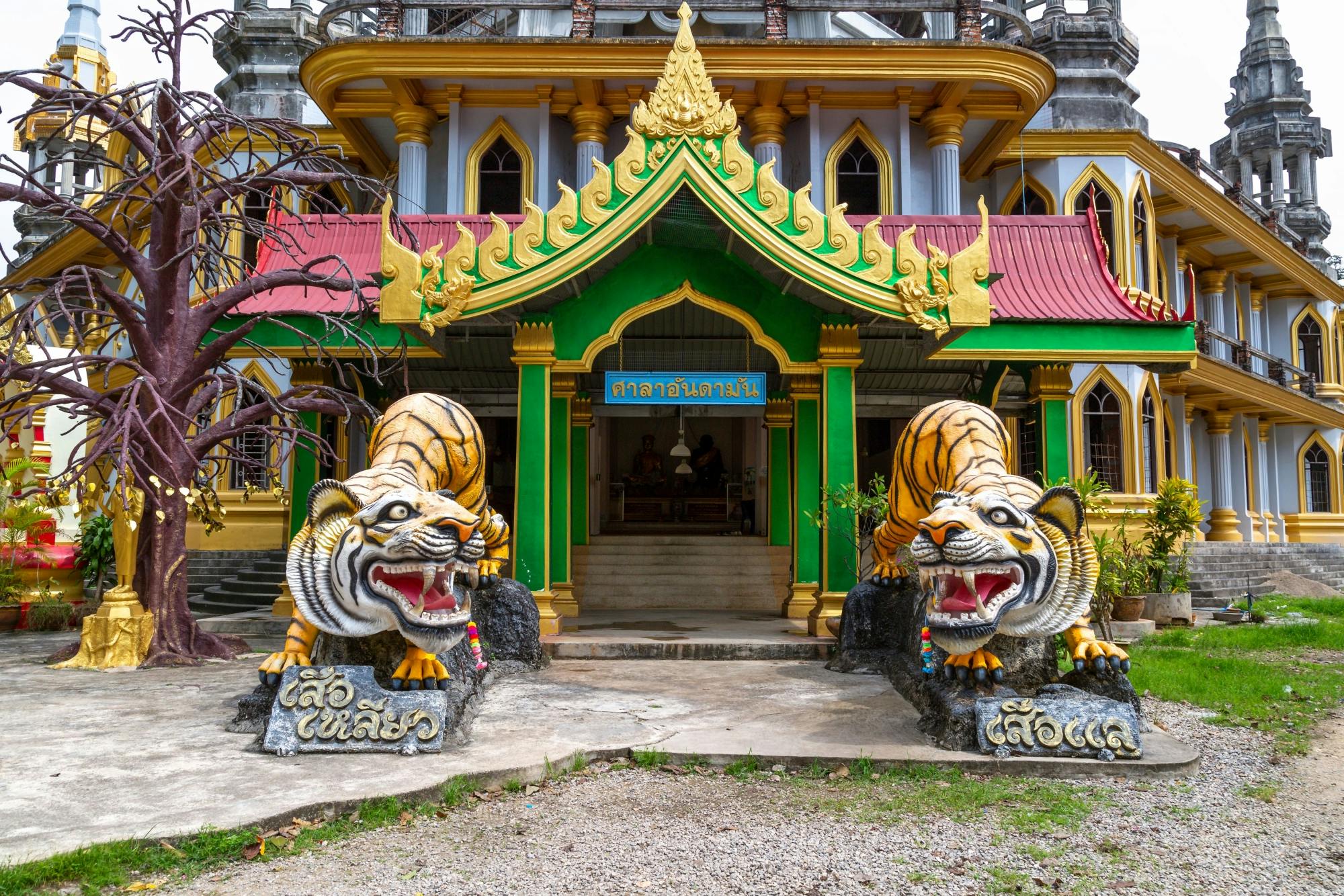 Jungle tour with Tiger Temple from Ko Lanta