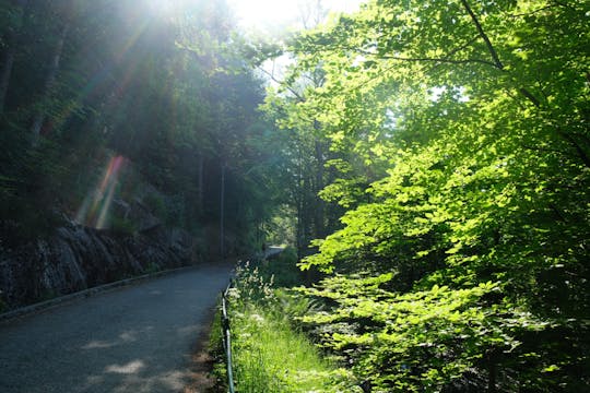 Small-group tour of Bergen with hiking and local history