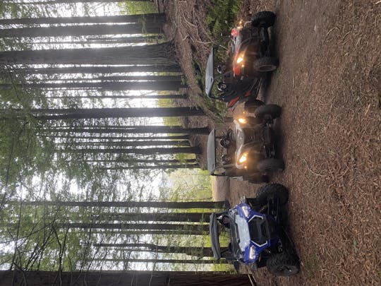 Experiencia privada de conducción todoterreno en buggy en Madeira