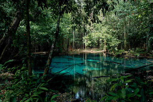 Full-day Krabi Jungle tour with Hot Spring and Tiger Cave Temple visit