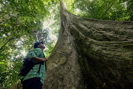 Full-day Krabi Jungle tour with Hot Spring and Tiger Cave Temple visit