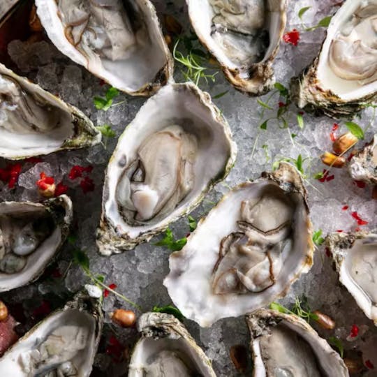 Oysters Happy Hour, Getränke und Live-Musik-Erlebnis