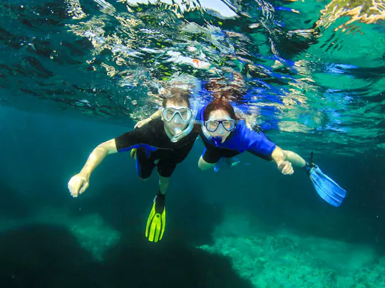 Small group guided snorkelling tour in the Bay of Pollenca