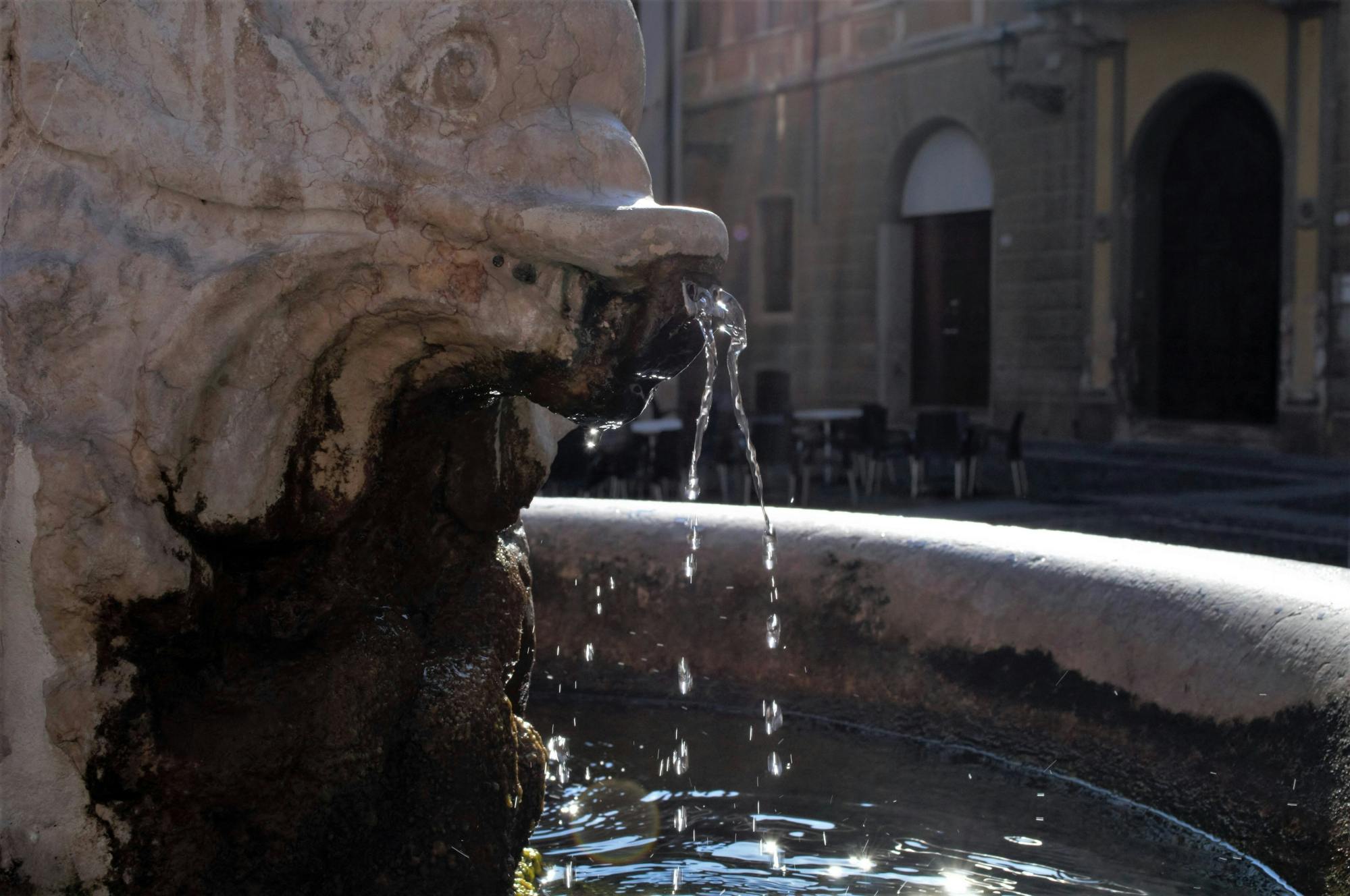 Medieval Mantua guided tour