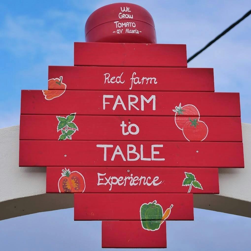 Half-day buggy tour around the Algarve’s countryside