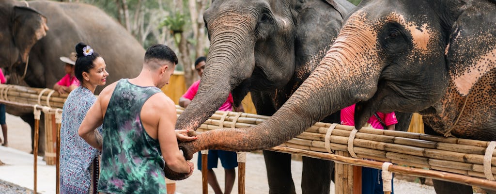 Half-day elephant sanctuary visit in Phuket