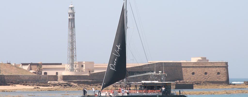 Sunset catamaran experience in Cadiz with one drink