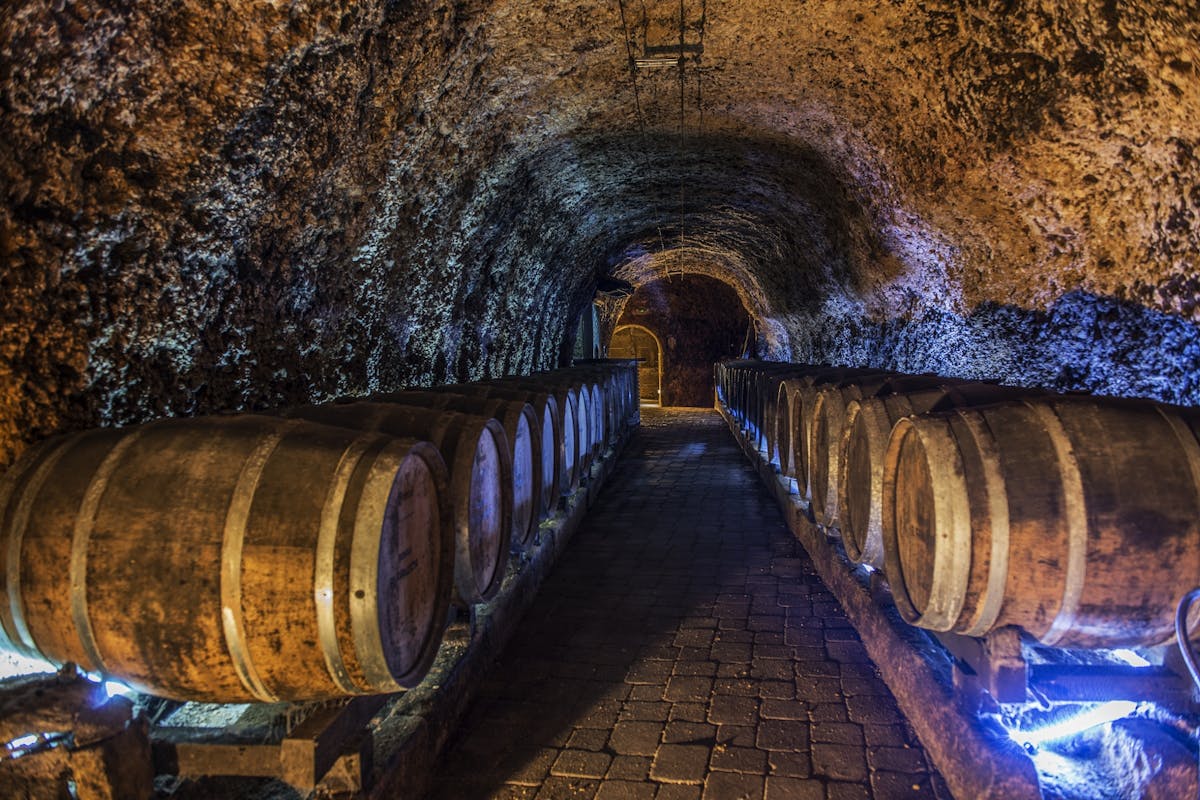Hele dagtour naar de wijngaarden van La Rioja vanuit Bilbao