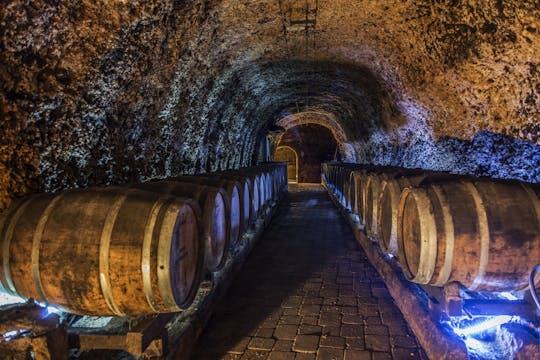 Tour di un giorno intero delle cantine di La Rioja da Bilbao