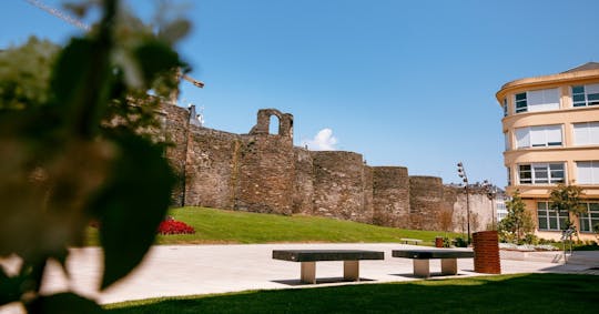 Lugo's Roman Wall and Cathedral guided tour with entry tickets