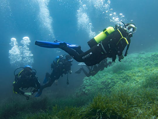 Scuba programme first-time diving experience in the Bay of Pollenca