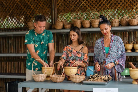 Demi-journée de rencontre avec les éléphants au départ de Phuket
