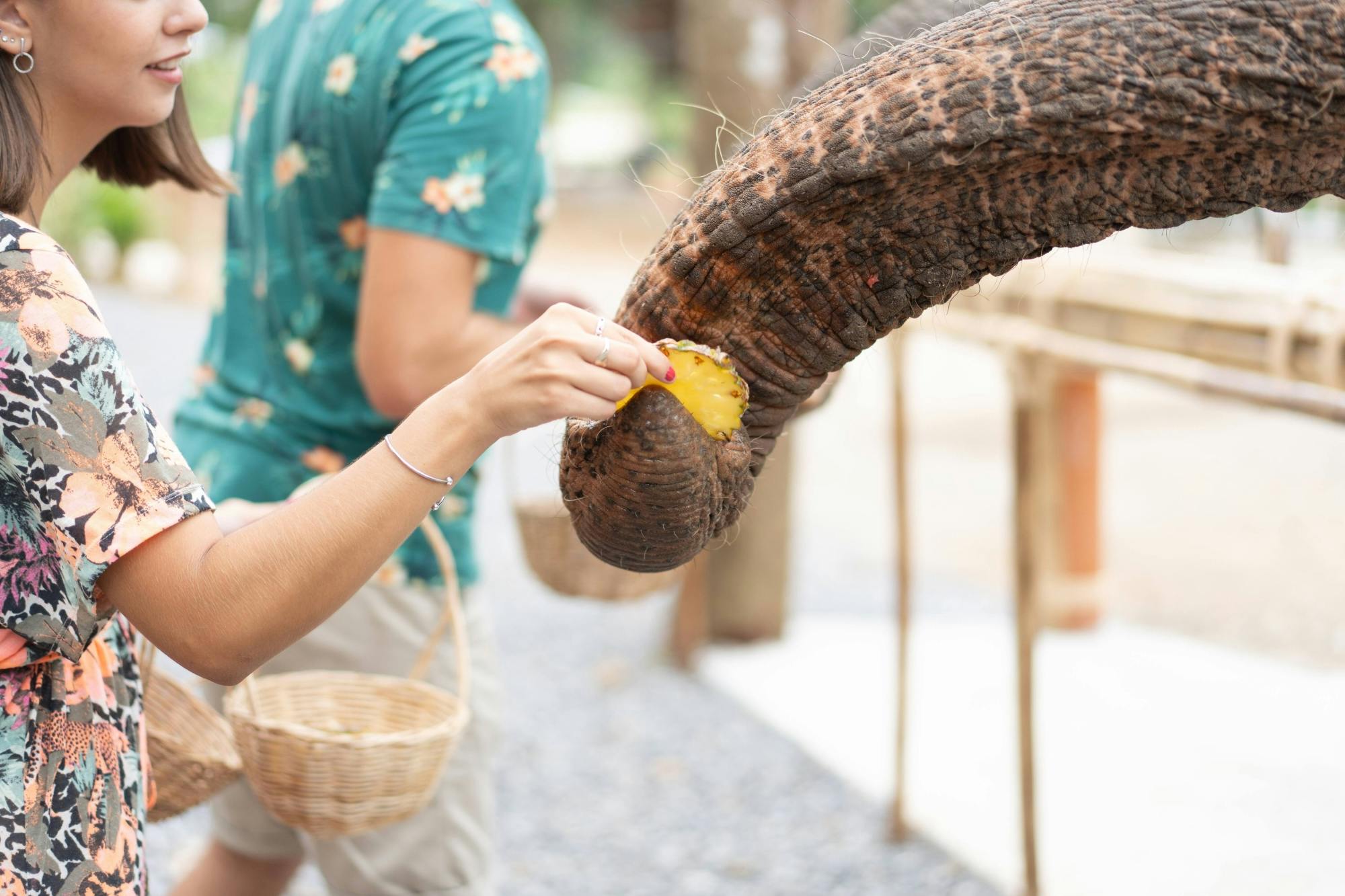Half day elephant encounter from Phuket