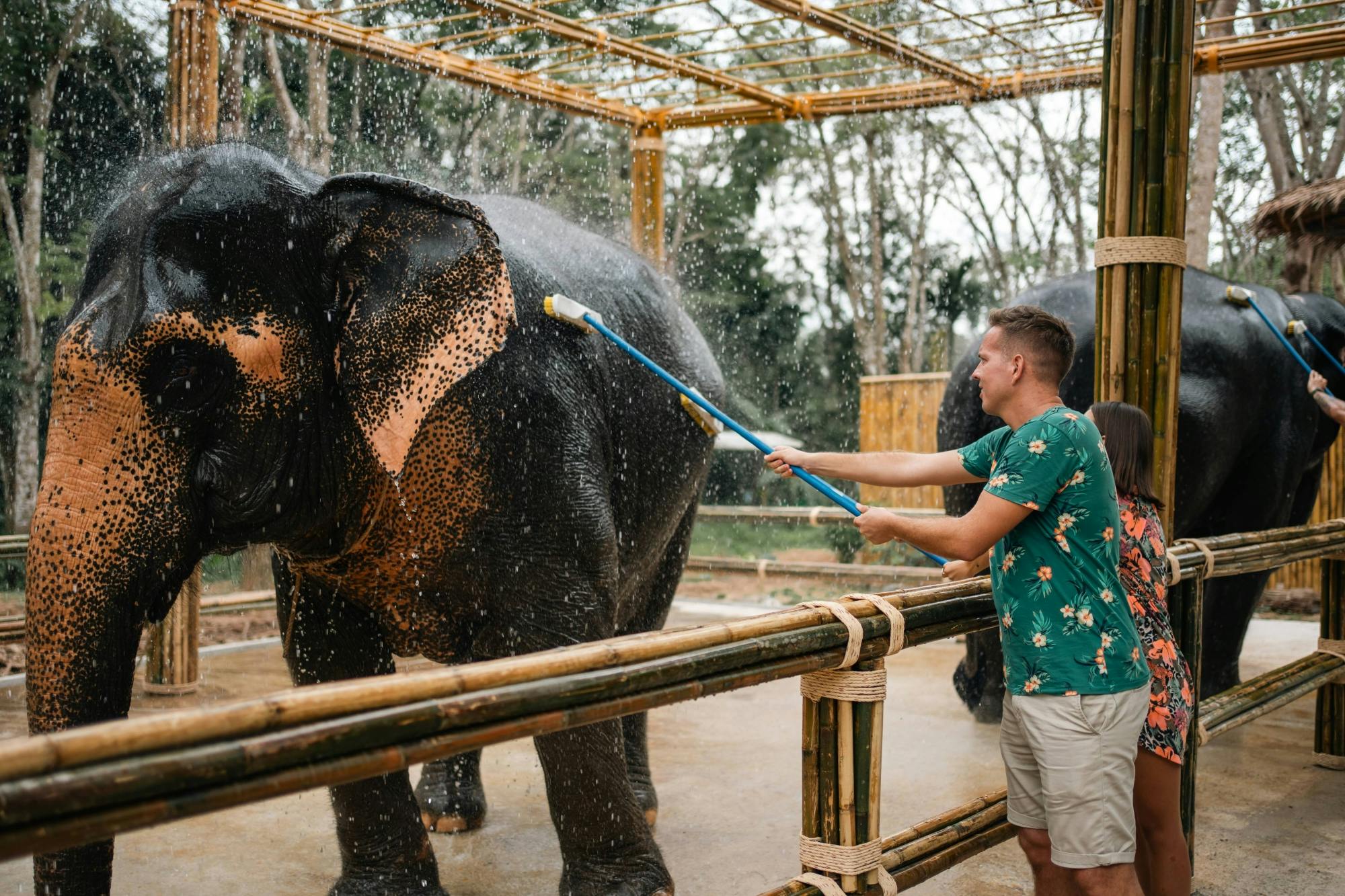 Half day elephant encounter from Phuket