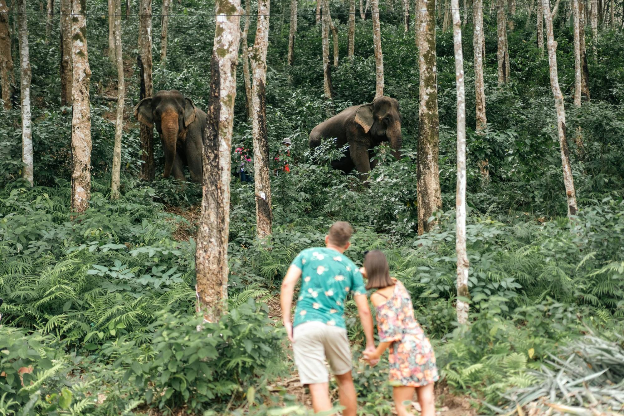 Half day elephant encounter from Phuket