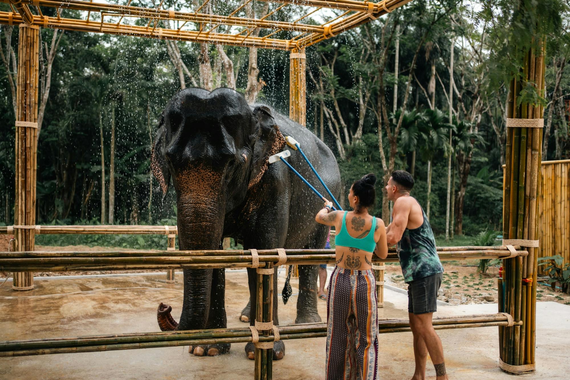 Half day elephant encounter from Phuket