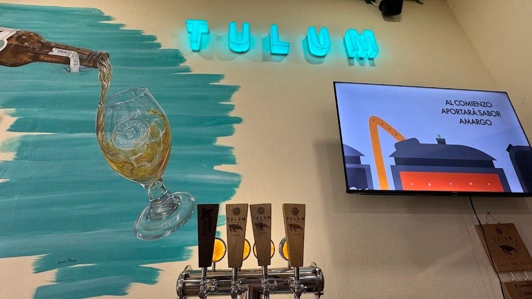 Mexico’s Tulum Brewery tour with beer workshop and tastings