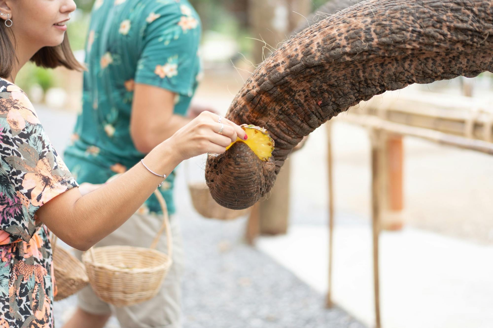 Half day elephant encounter from Phuket