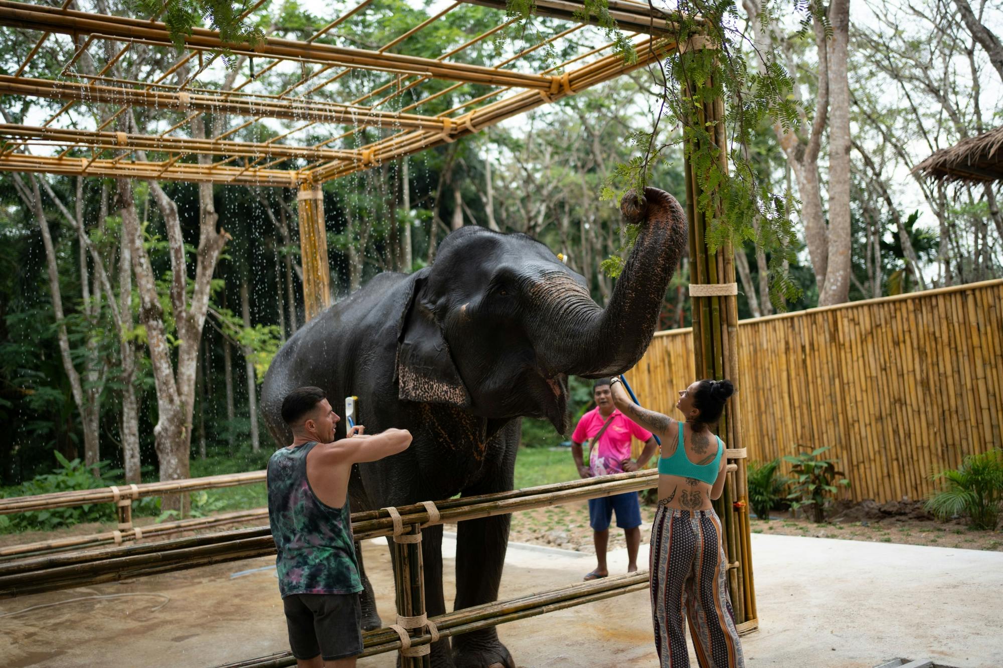 Half day elephant encounter from Phuket