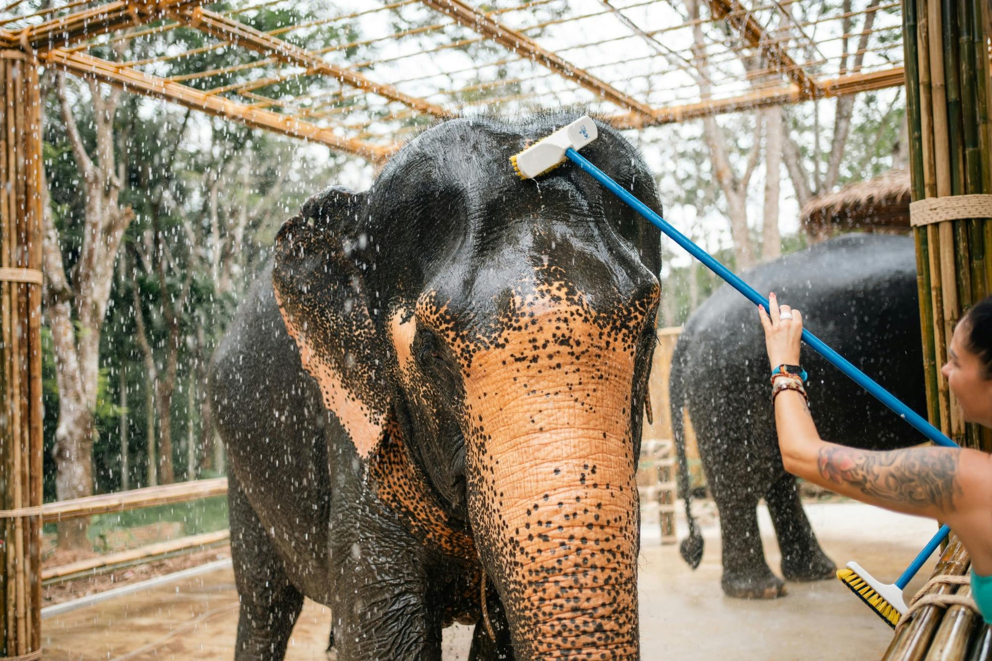 Half day elephant encounter from Phuket