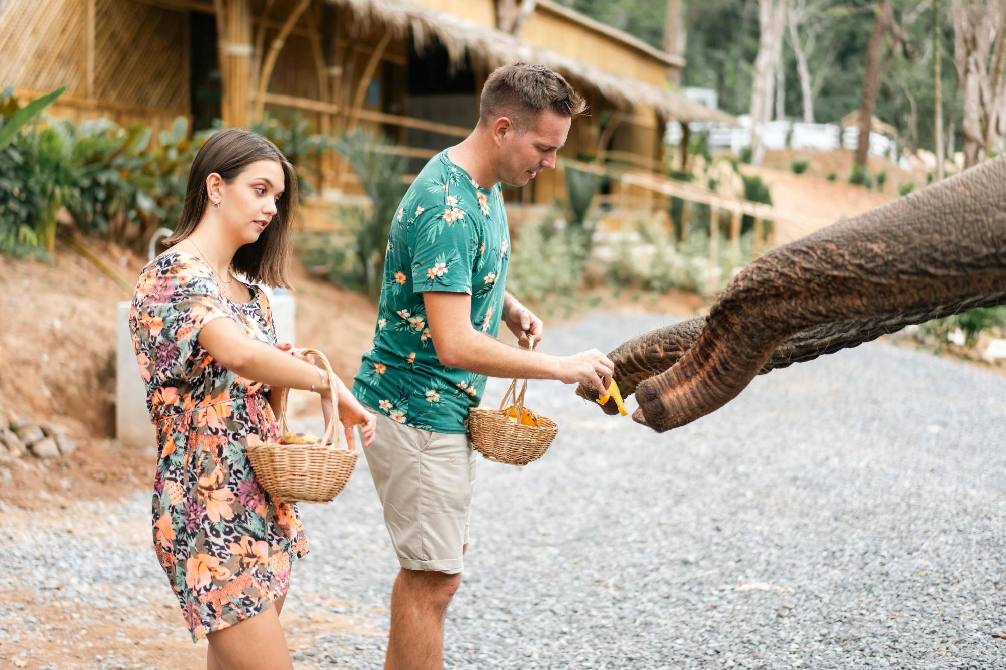 Half day elephant encounter from Phuket