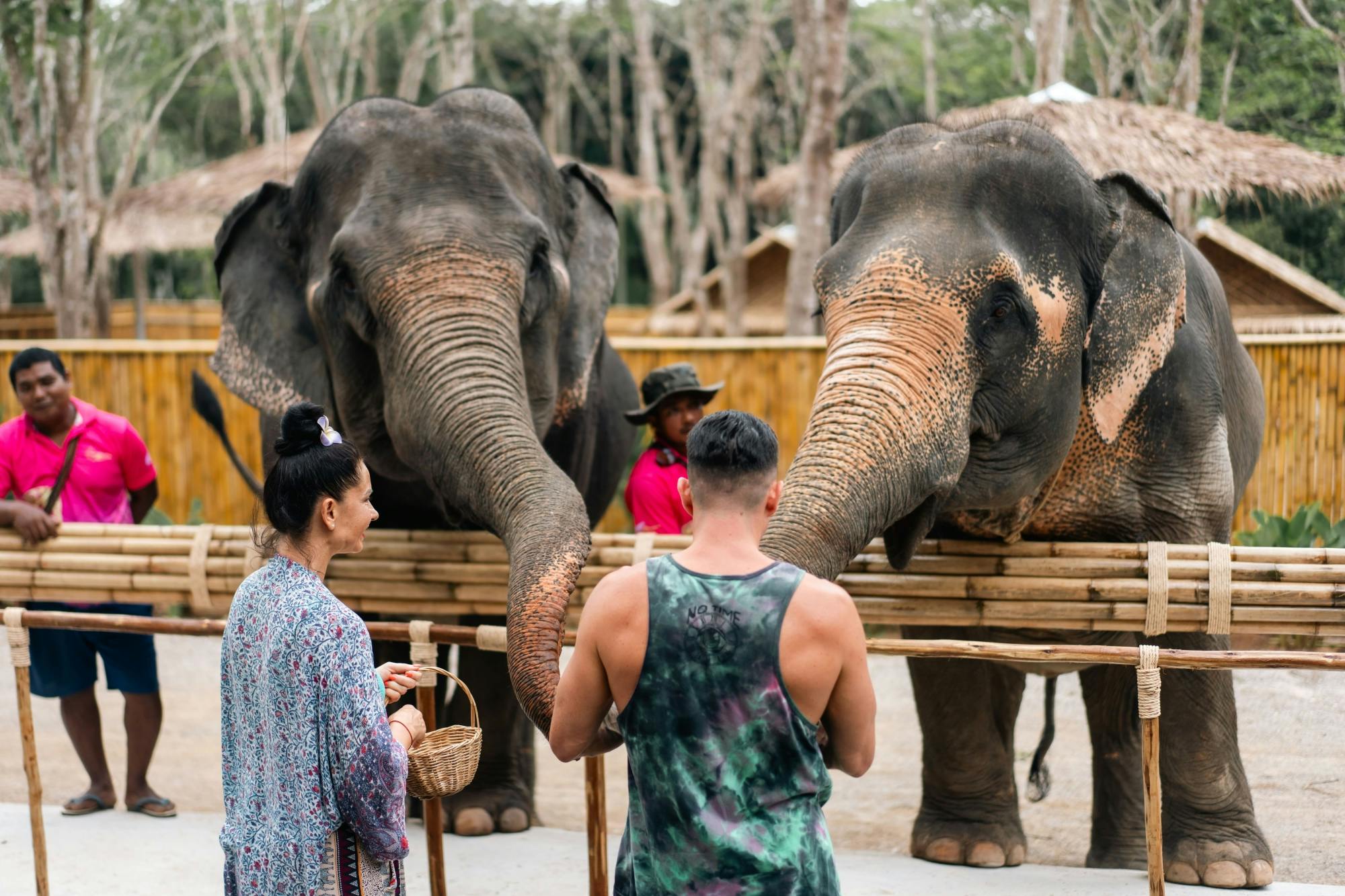 Half-day elephant sanctuary visit in Phuket