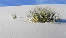 Self-Guided Audio Driving Tour of White Sand National Park