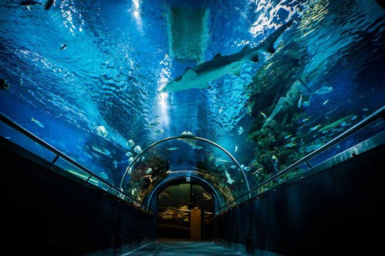 Budapest Tropicarium entrance ticket