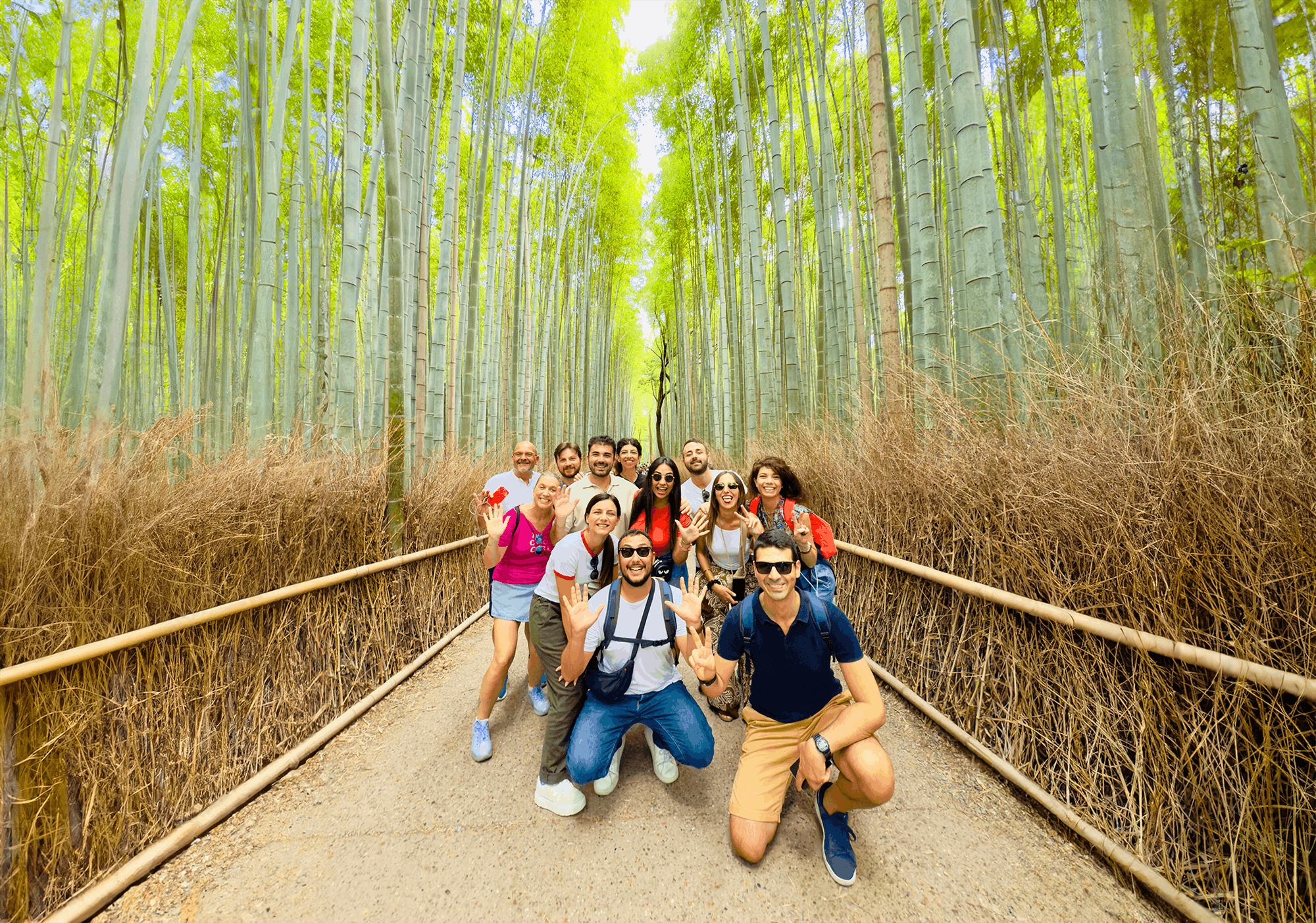 Arashiyama highlights walking tour with bamboo forest and monkey park