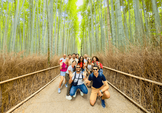 Kyoto Arashiyama walking tour, bamboo, monkeys, temple and secrets