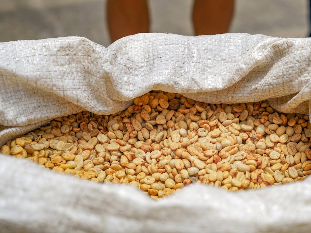 Monteverde Cloud Forest Tour