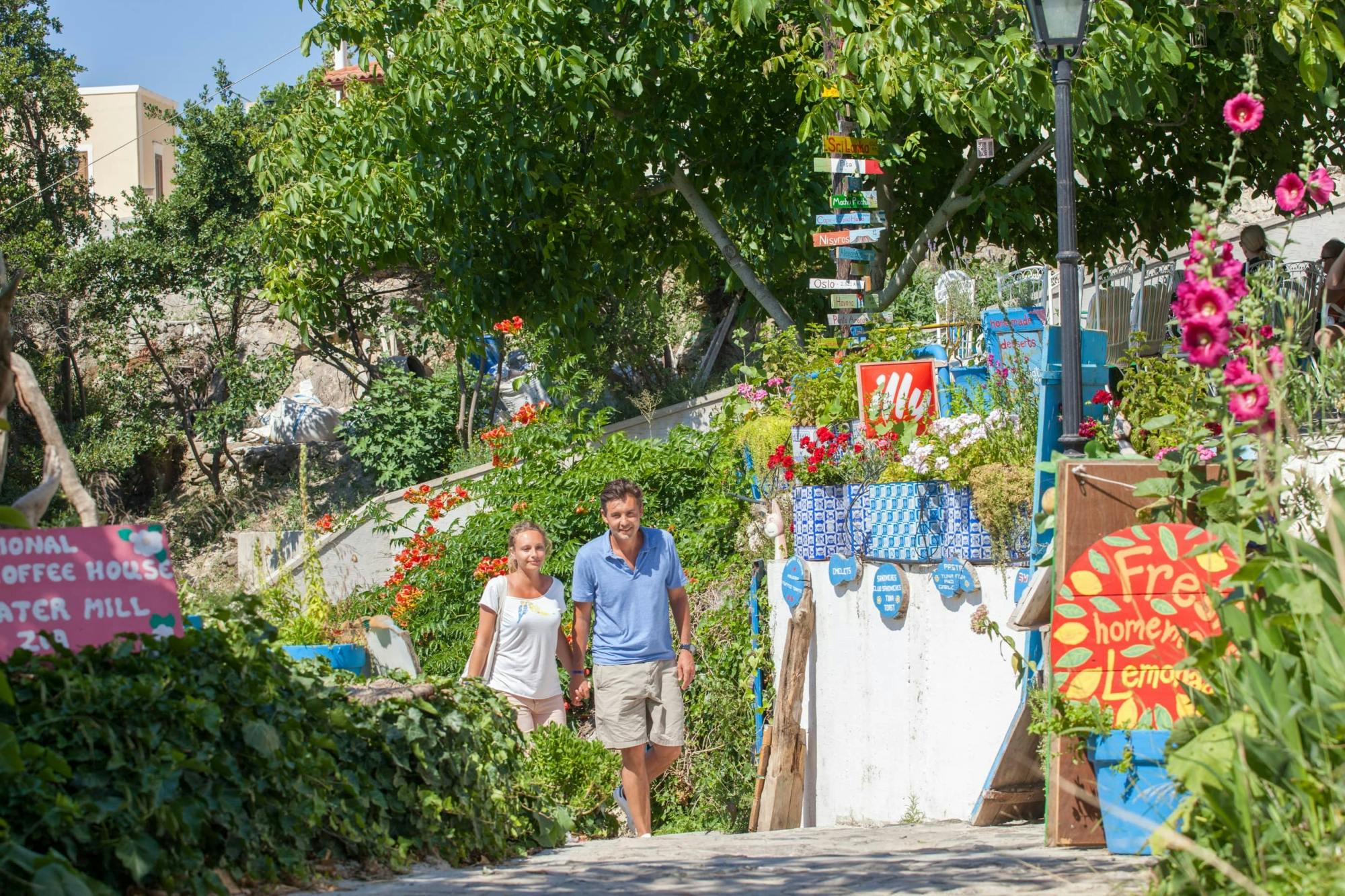 Guided tour of Kos Town, Asclepeion and Zia with wine-tasting