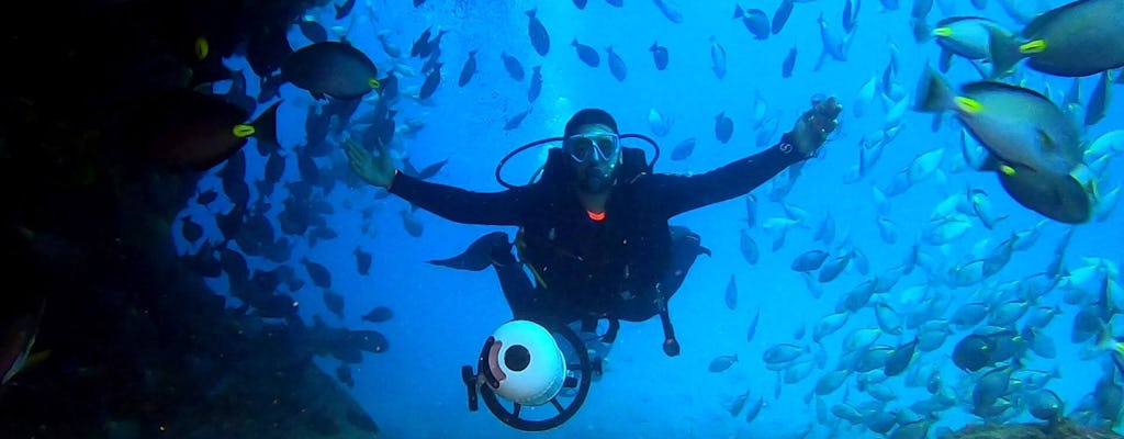 Sal Diving Experiences