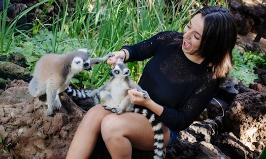 Eintrittskarten für den Oasis Park Fuerteventura