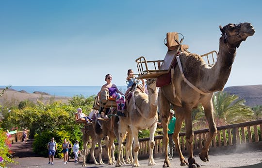 Oasis Park Fuerteventura entrance with camel experience