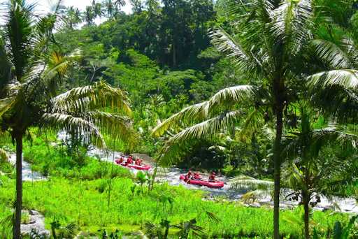 Ayung White Water Rafting Experience