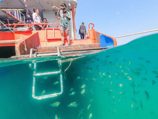 Full Day Island Tour with Drone Photos