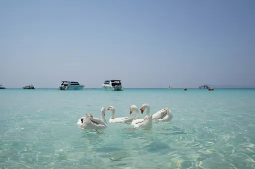 Full Day Island Tour with Drone Photos