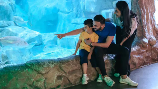 Hop-on hop-off bustickets voor een stadstour door Barcelona met Aquarium