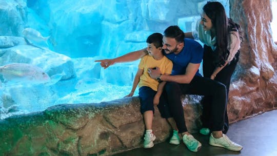 Biglietti per il tour della città di Barcellona in autobus hop-on hop-off con Acquario